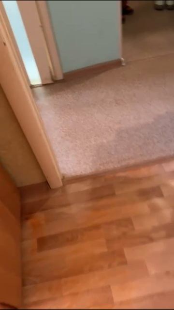 WhatsApp Video 2025-03-18 at 14.31.26 смотреть онлайн