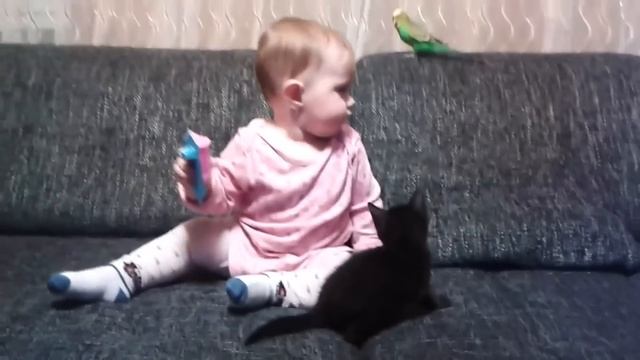 Cute Bird Falling in Love with Baby - Funny Parrots and Babies Compilation смотреть онлайн