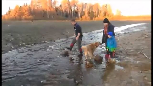 Ямное смотреть онлайн