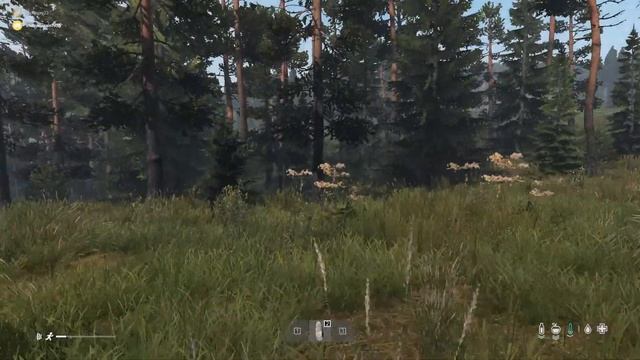 Сальвадор и Дали играют в Dayz смотреть онлайн
