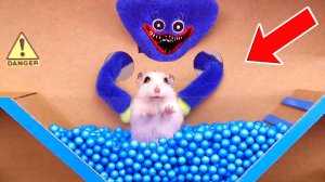 Мистера Хомяка преследует Хагги Вагги