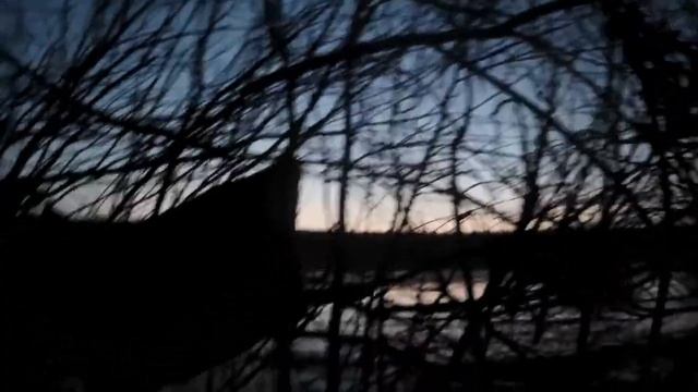 Добыли селезня на весенней охоте с подсадной. смотреть онлайн