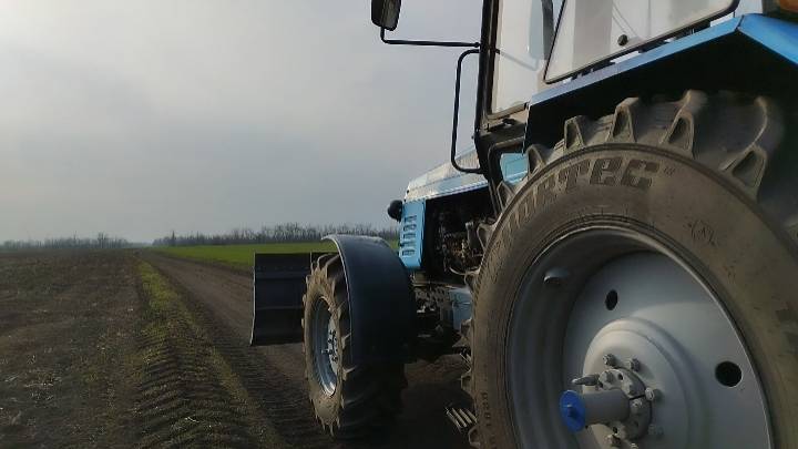 РАЗБРАСЫВАНИЕ СЕЛИТРЫ.