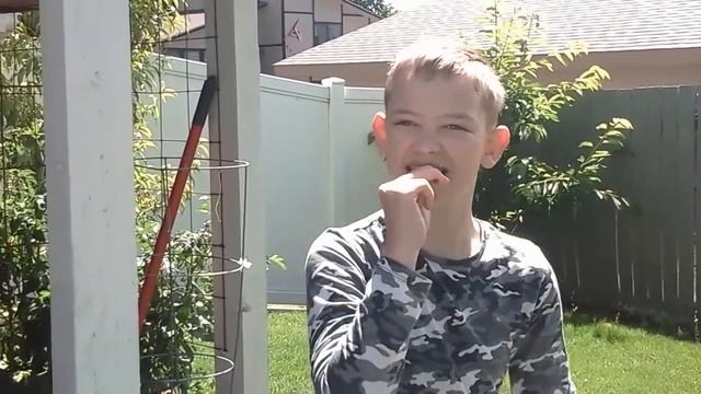 США..Я ВЫРАСТИЛ ГОРОХ. смотреть онлайн