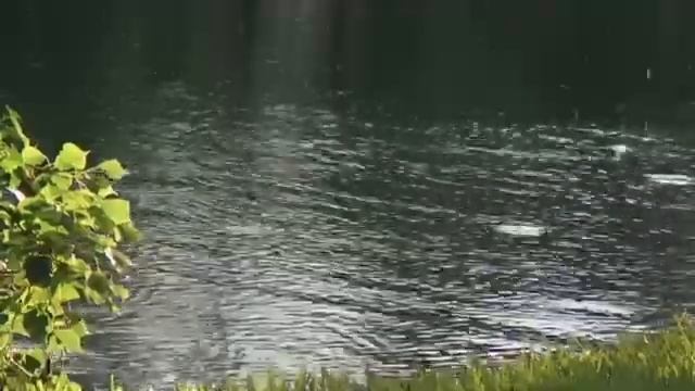 Глубинное Оздоровление Шеи и Плеч*Исцеление Шейного Отдела*САБЛИМИНАЛ