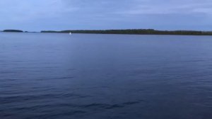 Конаково - Белое море.  Июнь 2023 г.