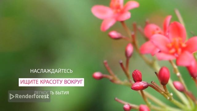 Всему своё время