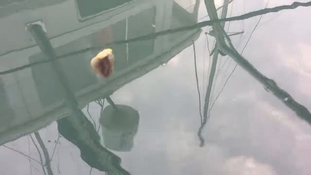 Fireworm Andaman Sea смотреть онлайн