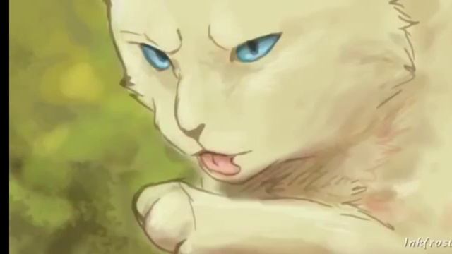 Видео Клип Коты воители.Горелый -Free Translator Warrior Cats PMV| смотреть онлайн