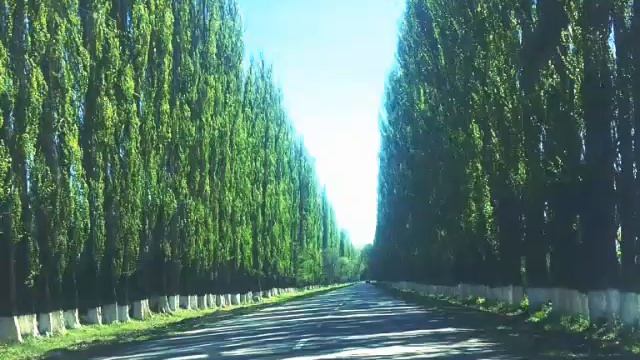 Кыргыз жерим кымбатым