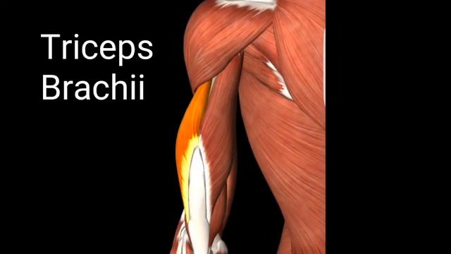 BEST Mini Band Workout смотреть онлайн