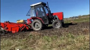 Испытание нового картофельного комплекса Уралец