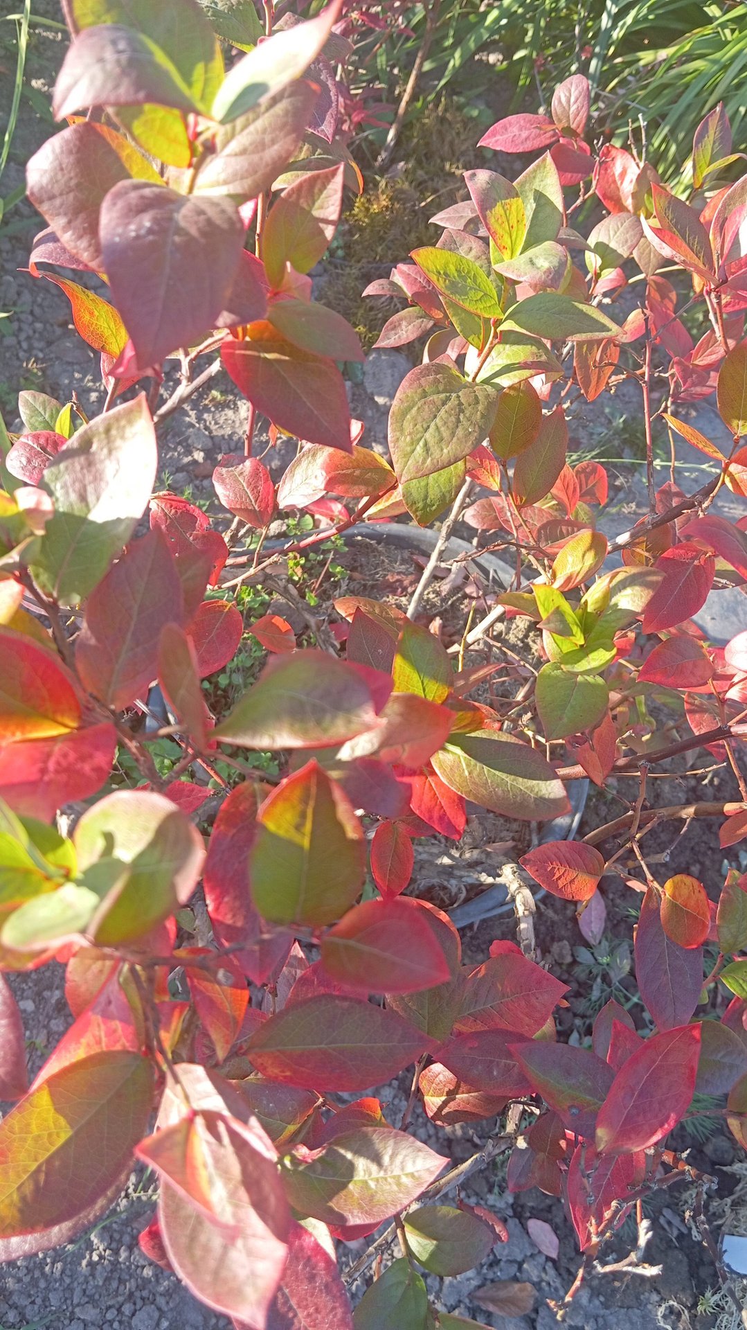 В сотворчестве с Миром.