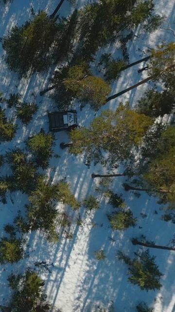 Tracker смотреть онлайн