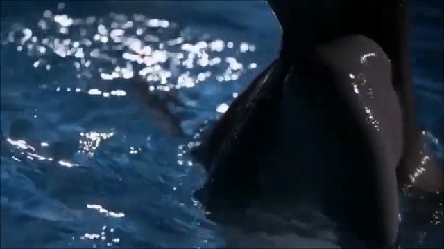 Steen Thøttrup - If You Were Here Tonight  (Music Video)