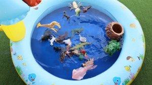 Animals for Toddlers - Learn Sea & Wild Animal Names | Toys for Kids | Lum Sum Kids