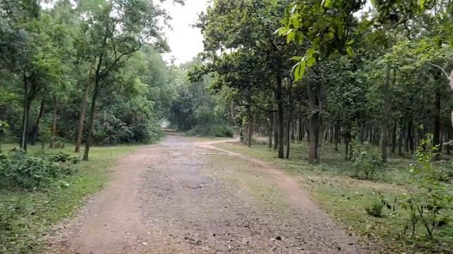Orgram ll Forest Resort || One day trip смотреть онлайн