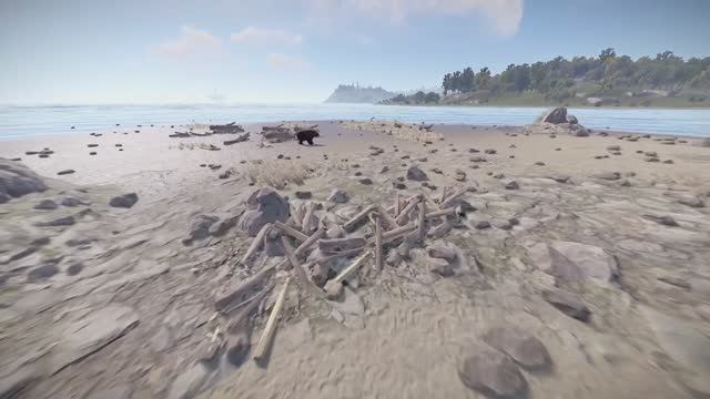 Поведение медведя в Rust, дикая природа в действии смотреть онлайн