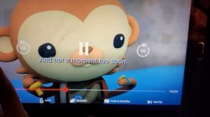 octonauts above and beyond creature report season 2