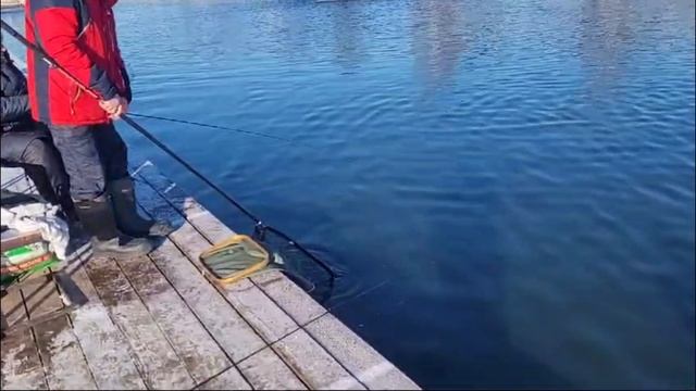 18-03-2025 смотреть онлайн