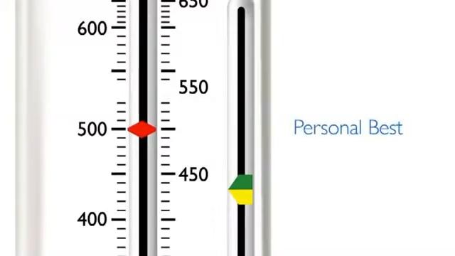 PersonalBest Peak Flow Meter Instructions for Use - DirectHomeMedical.com смотреть онлайн