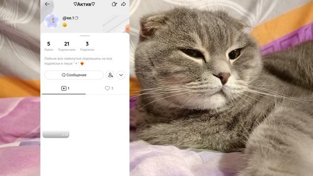 Как накрутить подписчиков и поднять актив в лайке в 2024 году // КАК СТАТЬ ПОПУЛЯРНЫМ В LIKEE смотреть онлайн