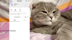 Как накрутить подписчиков и поднять актив в лайке в 2024 году // КАК СТАТЬ ПОПУЛЯРНЫМ В LIKEE