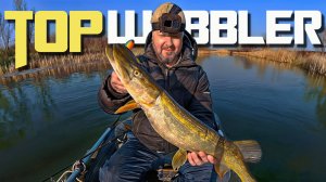 🔴 Новый воблер поймал щуку на ПЕРВОЙ же РЫБАЛКЕ!!! 🎣💥🐟