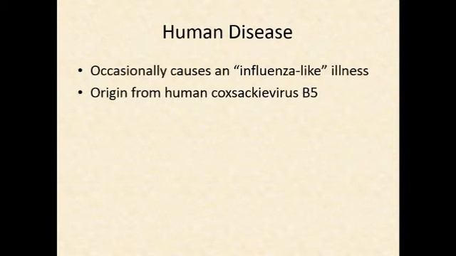 Genus Enterovirus Swine Vesicular Disease...Pathogenesis and Pathology,Human Disease.. смотреть онлайн