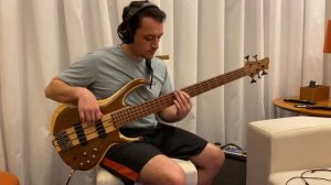 Dark Necessities - Red Hot Chili Peppers - Bass cover