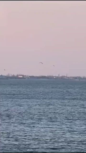 Ейск ! Лиман сейчас 18.03.2025 г.! смотреть онлайн