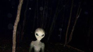 Инопланетяне и гуманоиды, которых засняли на видео