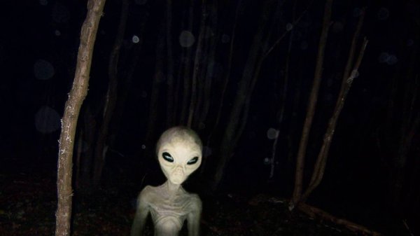 Инопланетяне и гуманоиды, которых засняли на видео