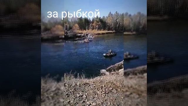 каждому своё