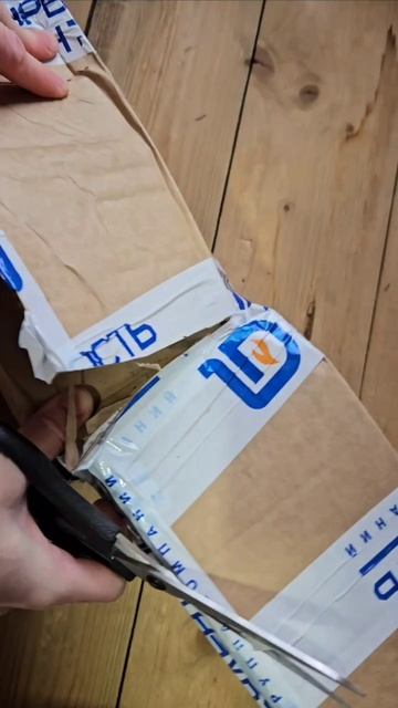 Распаковка посылки с комнатным цветком Аспарагусом.#комнатныецветы#распаковка#посылка#цветыдлядома