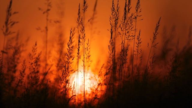 Try to Remember (That kind of September) Brothers Four. Video by Chris Burke смотреть онлайн