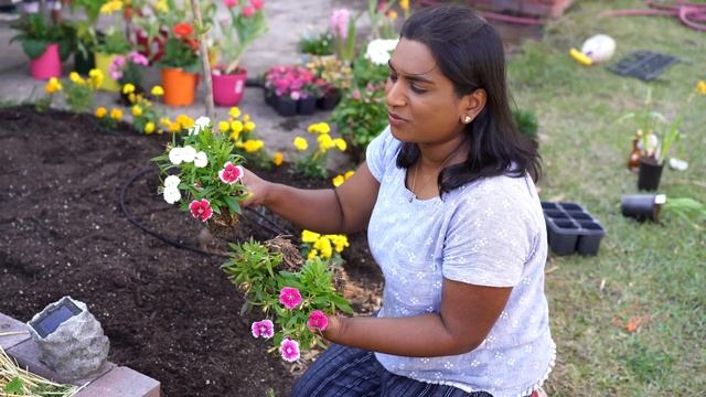 Flower Garden in Tamil | Growing tomatoes in Tamil смотреть онлайн