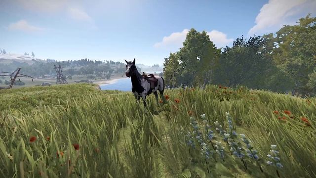 Лошадь в Rust с цветами и морем на фоне смотреть онлайн