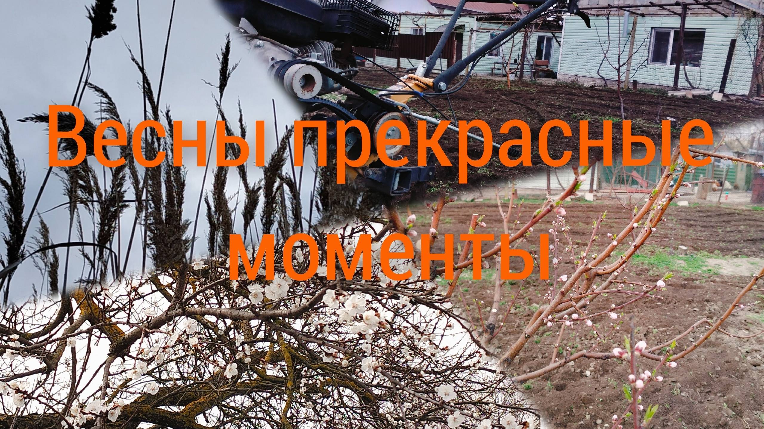 Прекрасна и коварна весна на Кубани.А он всё пашет и пашет. смотреть онлайн