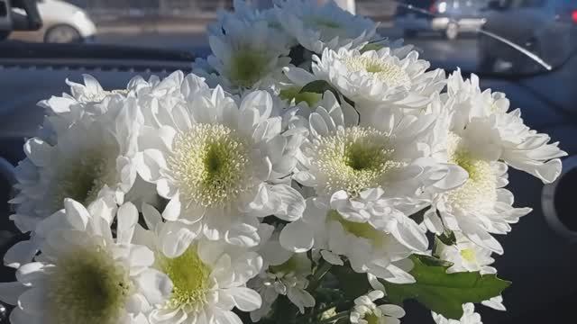 Приехал Муж. Покупки с Wildberries, OZON. смотреть онлайн