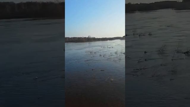 Потоп хопра