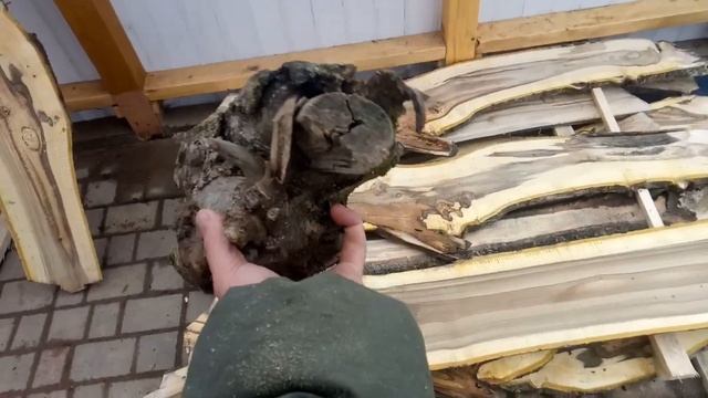 Укладка досок грецкого ореха на естественную просушку и хранение.Зима, 2021 г.