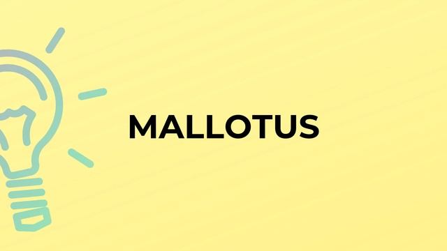What is the meaning of the word MALLOTUS? смотреть онлайн