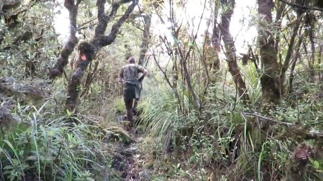 NZ Public Land Flycamp Red Deer Meat Hunt 2015 смотреть онлайн