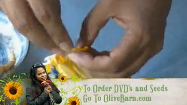 How To Cook Stuffed Squash Flowers