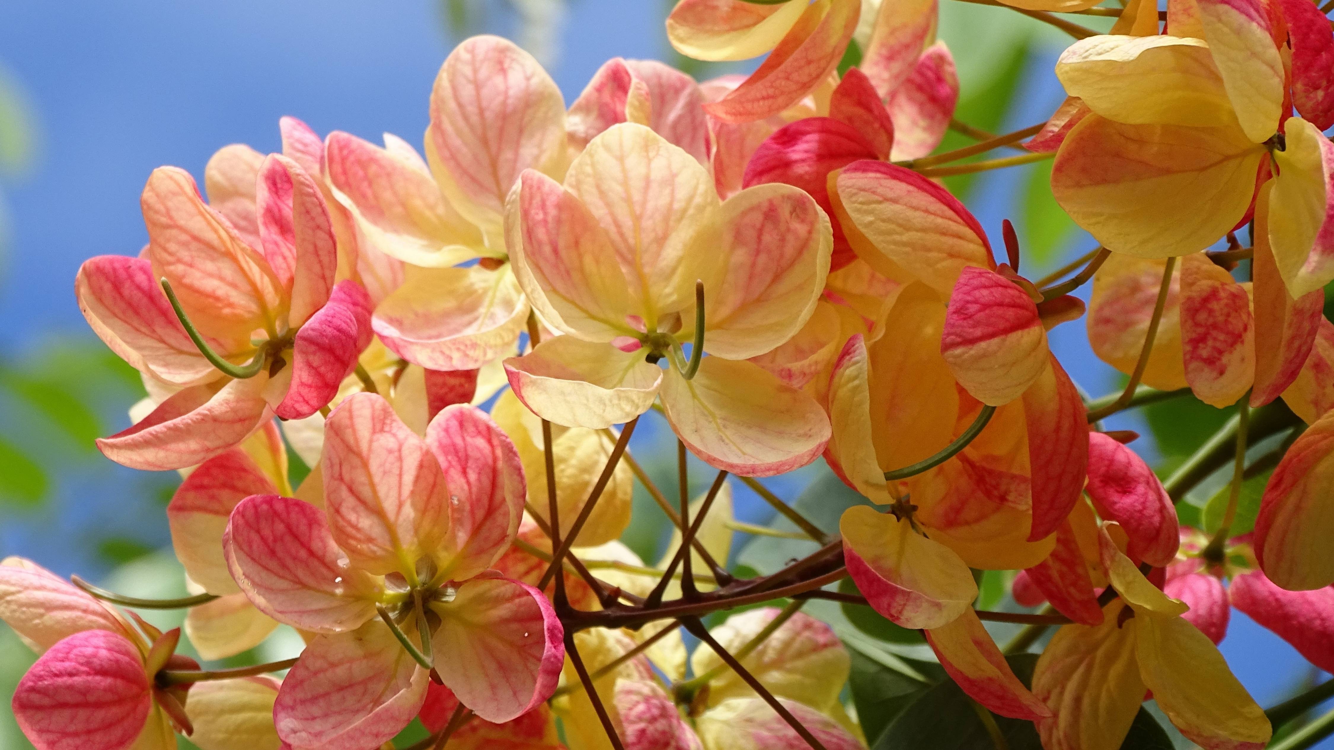 ОВНЫ. 🔥🔥🔥 Ваш таро-прогноз на апрель 2025 год. ✨✨✨
Весенние Ретро Меркурий и ретро Венера. смотреть онлайн