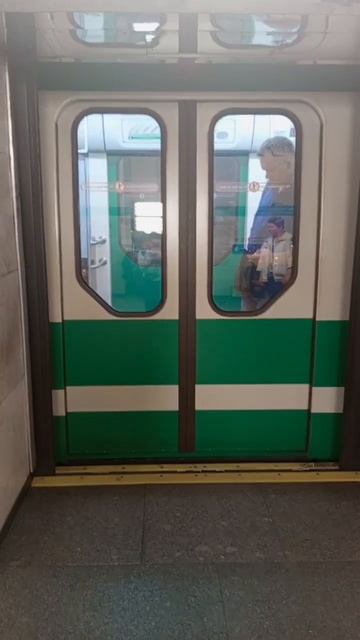 🚇ИНТЕРЕСНЕЙШЕЕ Метро Питера 🚇Тип с ДВОЙНЫМИ ДВЕРЯМИ #рек #рекомендации #метро #мем #мемы #shorts . смотреть онлайн