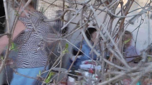 праздничный обед смотреть онлайн