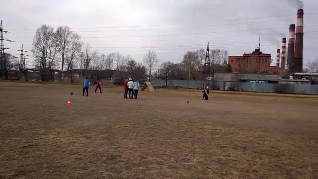 Экскалибур Олам Шах.