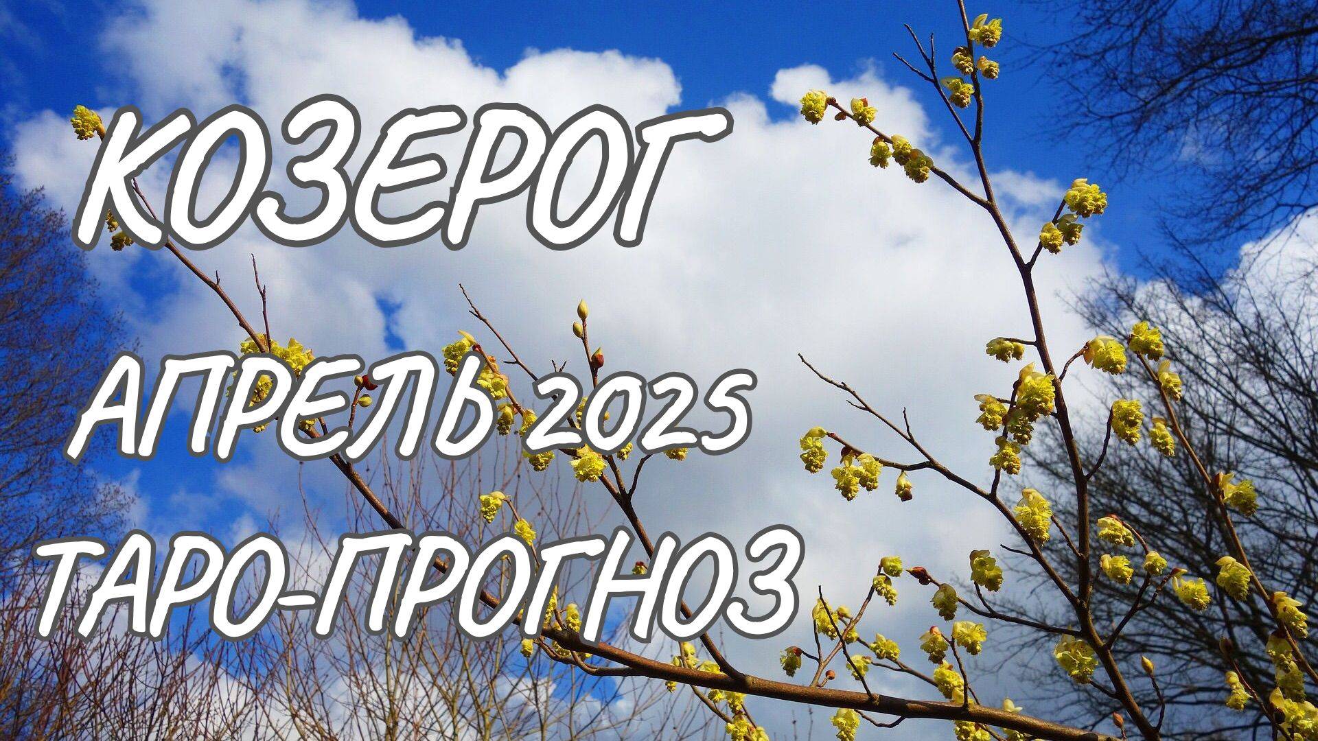 Козерог ♑ Таро-прогноз на апрель 2025 года смотреть онлайн